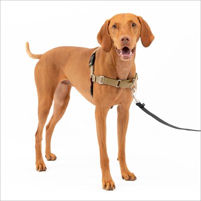 PetSafe PetSafe Easy Walk Dog Harness, Fawn/Brown, Medium