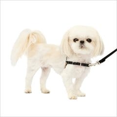 PetSafe Easy Walk Dog Harness, Black/Tan, Petite