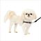 Show in main carousel: PetSafe Easy Walk Dog Harness, Black/Silver, Petite slide 1 of 10