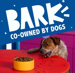 BARK in the Belly High Protein Salmon & Ancient Grains Recipe Dry Dog Food, 28-lb bag slide 2 of 9