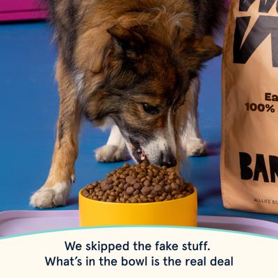 Show full view: BARK in the Belly High Protein Salmon & Ancient Grains Recipe Dry Dog Food, 28-lb bag slide 6 of 10