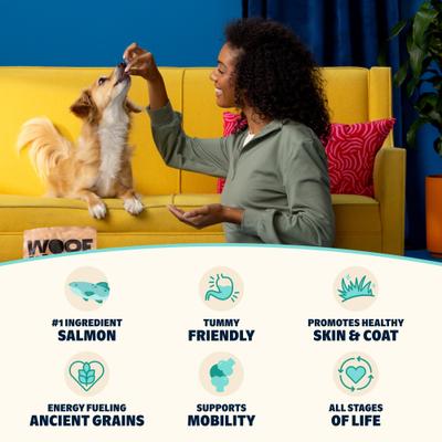 Show full view: BARK in the Belly High Protein Salmon & Ancient Grains Recipe Dry Dog Food, 4-lb bag slide 7 of 10