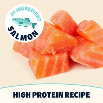 Show full view: BARK in the Belly High Protein Salmon & Ancient Grains Recipe Dry Dog Food, 4-lb bag slide 3 of 10