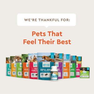 VetIQ Hickory Smoke Flavor Soft Chew Multivitamin for Dogs, 60 count