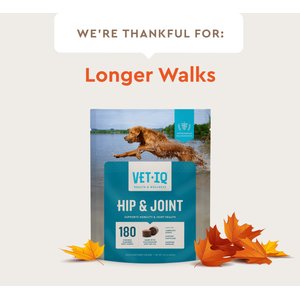 VetIQ Hip & Joint Soft Chew Joint Supplement for Dogs, 180 count
