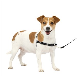PetSafe Easy Walk Dog Harness, Charcoal, Small: 15 to 21-in chest