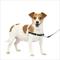 Show in main carousel: PetSafe Easy Walk Dog Harness, Charcoal, Small: 15 to 21-in chest slide 1 of 11