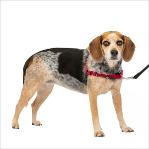 PetSafe Easy Walk Dog Harness, Red/Black, Small/Medium