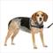 Show in main carousel: PetSafe Easy Walk Dog Harness, Black/Silver, Small/Medium slide 1 of 10