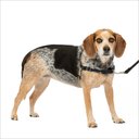 PetSafe Easy Walk Dog Harness, Black/Silver, Small/Medium