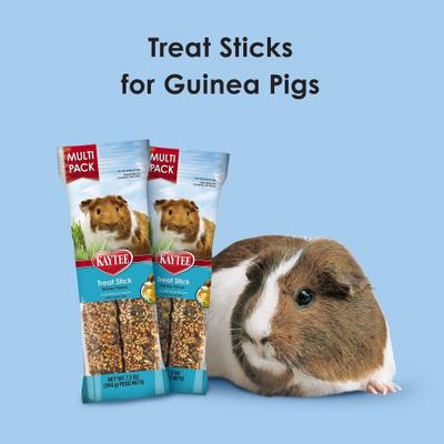 Show full view: Kaytee Forti-Diet Pro Health Honey Guinea Pig Treat Sticks, 7.2-oz slide 5 of 6
