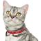 Show in main carousel: Frisco Valentine's All You Need Is Love Collar Cat Collar with Bell, 8 to 12-in neck, 3/8-in wide slide 3 of 8