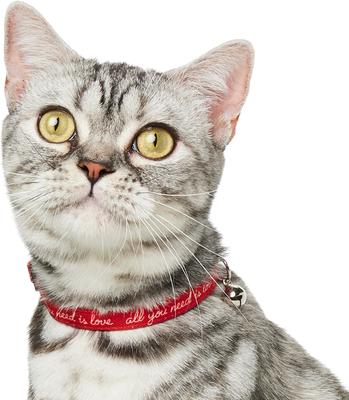 Show full view: Frisco Valentine's All You Need Is Love Collar Cat Collar with Bell, 8 to 12-in neck, 3/8-in wide slide 3 of 8