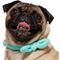 Show in main carousel: Frisco Velvet Removable Bunny Tie Dog Collar, Turquoise, S: 10 to 14-in neck, 5/8-in wide slide 3 of 10