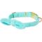 Show in main carousel: Frisco Velvet Removable Bunny Tie Dog Collar, Turquoise, S: 10 to 14-in neck, 5/8-in wide slide 1 of 10