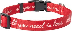 Frisco Valentine's All You Need Is Love Dog Collar, M: 14 to 20-in neck, 3/4-in wide
