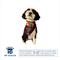 Show in main carousel: Hip Doggie Party Dog Bandana, Medium slide 3 of 8