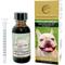 Show in main carousel: CANNA COMPANION Whole Plant Full Spectrum Hemp Extract Oil Liquid Calming Supplement for Small & Medium Dogs, 30-mL bottle slide 1 of 5