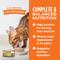 Show in main carousel: Instinct Original Real Chicken Recipe Grain-Free Pate Wet Cat Food, 5.5-oz can, case of 12 slide 5 of 11