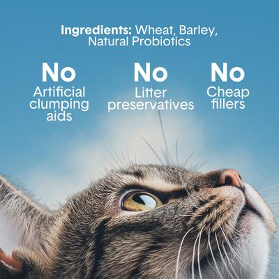 Show full view: Boxiecat Air Probiotic Lightweight Clumping Cat & Kitty Litter, 11.5-lb bag slide 5 of 12