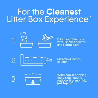 Show full view: Boxiecat Air Probiotic Lightweight Clumping Cat & Kitty Litter, 11.5-lb bag slide 7 of 12