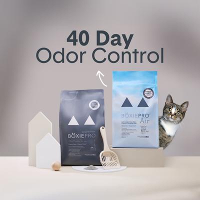 Show full view: Boxiecat Air Probiotic Lightweight Clumping Cat & Kitty Litter, 11.5-lb bag slide 3 of 12