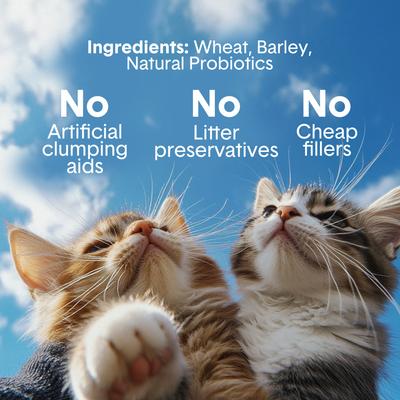 Show full view: Boxiecat Air Extra Strength Lightweight Clumping Cat & Kitty Litter, 11.5-lb bag slide 5 of 12