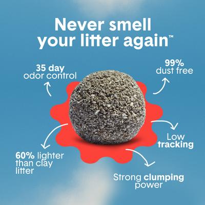 Show full view: Boxiecat Air Extra Strength Lightweight Clumping Cat & Kitty Litter, 11.5-lb bag slide 4 of 12