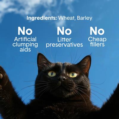 Show full view: Boxiecat Air Unscented Lightweight Clumping Cat & Kitty Litter, 16.5-lb bag slide 5 of 12