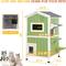 Show in main carousel: Petscosset Insulated Outdoor Wooden Two-Story Cat House, Green slide 3 of 12