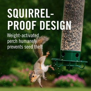 Droll Yankees Yankee Flipper Motorized Bird Feeder, 28.5-in