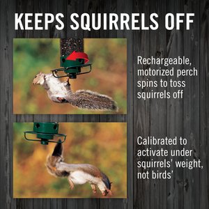 Droll Yankees Yankee Flipper Motorized Bird Feeder, 28.5-in
