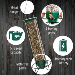 Droll Yankees Yankee Flipper Motorized Bird Feeder, 28.5-in