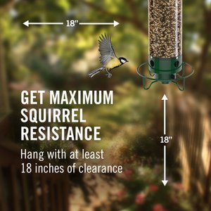 Droll Yankees Yankee Flipper Motorized Bird Feeder, 28.5-in