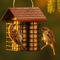 Show in main carousel: More Birds Two Cake Suet Buffet Bird Feeder slide 7 of 9