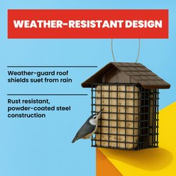More Birds Two Cake Suet Buffet Bird Feeder slide 2 of 9