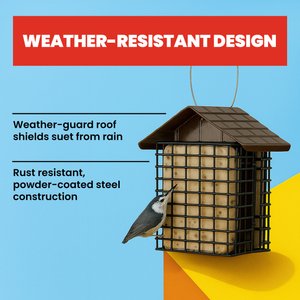 More Birds Two Cake Suet Buffet Bird Feeder