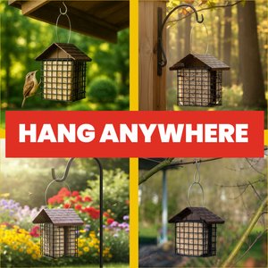 More Birds Two Cake Suet Buffet Bird Feeder