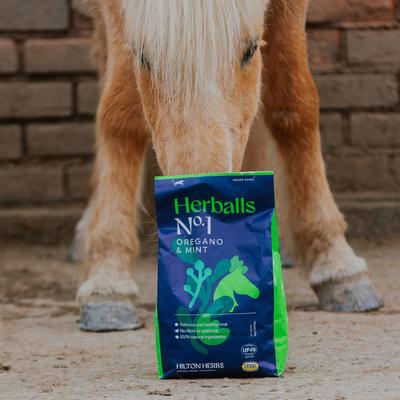 Show full view: Hilton Herbs Herballs Horse Supplement, 4.4-lb bag slide 9 of 10