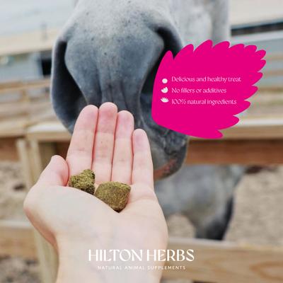 Show full view: Hilton Herbs Herballs Horse Supplement, 4.4-lb bag slide 3 of 10