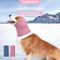 Show in main carousel: NANAKI Calming Hoodie Ear Wraps for Dogs, Dusty Pink, Small slide 6 of 9