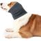 Show in main carousel: NANAKI Calming Hoodie Ear Wraps for Dogs, Grey, Small slide 8 of 9