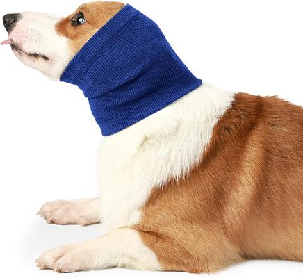 Show full view: NANAKI Calming Hoodie Ear Wraps for Dogs, Blue, Small slide 8 of 9