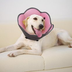 NANAKI Soft Cone Recovery Elizabethan Collar/E-Collar for Dogs, Pink, X-Large slide 2 of 7