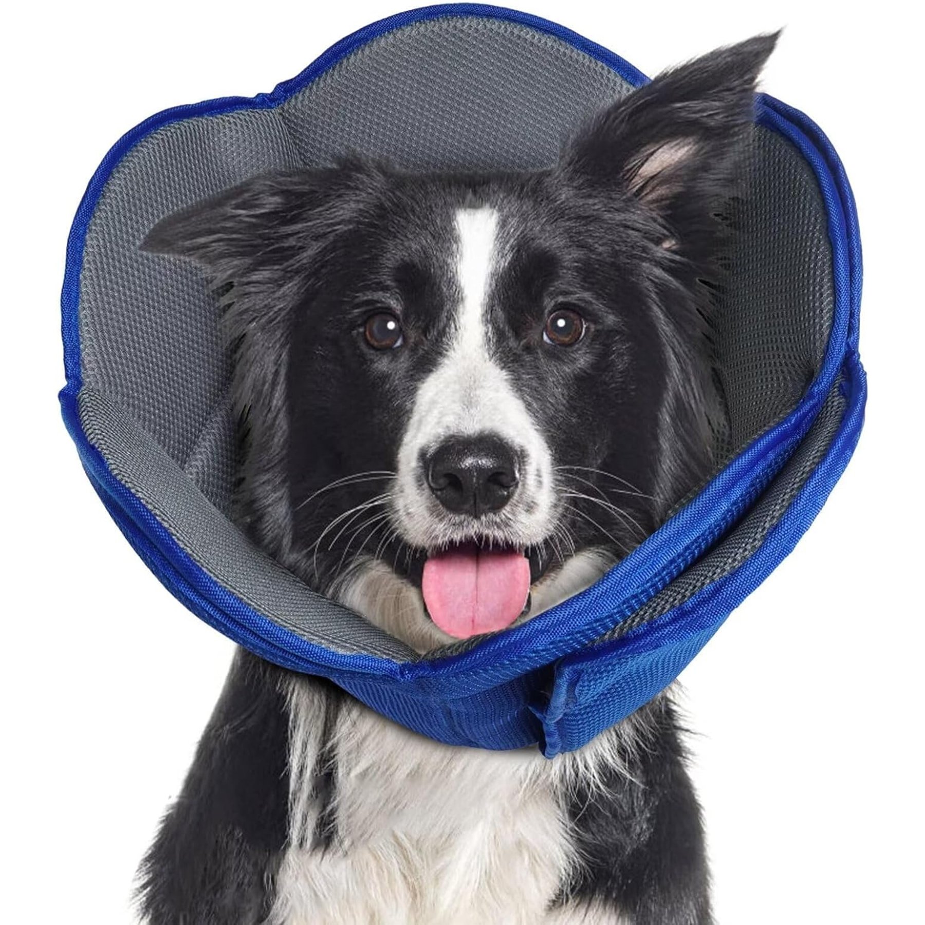 NANAKI Soft Cone Recovery Elizabethan Collar/E-Collar for Dogs, Blue, Small