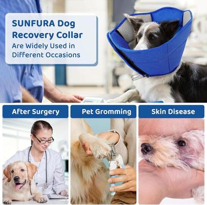 Show full view: NANAKI Sunfura Cone Recovery Elizabethan Collar/E-Collar for Dogs, Blue, X-Large slide 6 of 7