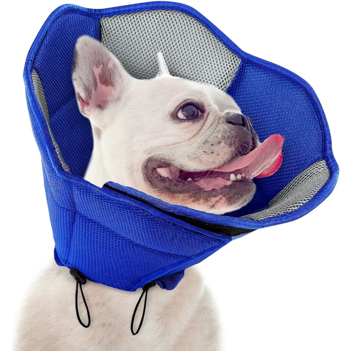 NANAKI Sunfura Cone Recovery Elizabethan Collar/E-Collar for Dogs, Blue, Medium