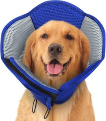 NANAKI Sunfura Cone Recovery Elizabethan Collar/E-Collar for Dogs, Blue, X-Large