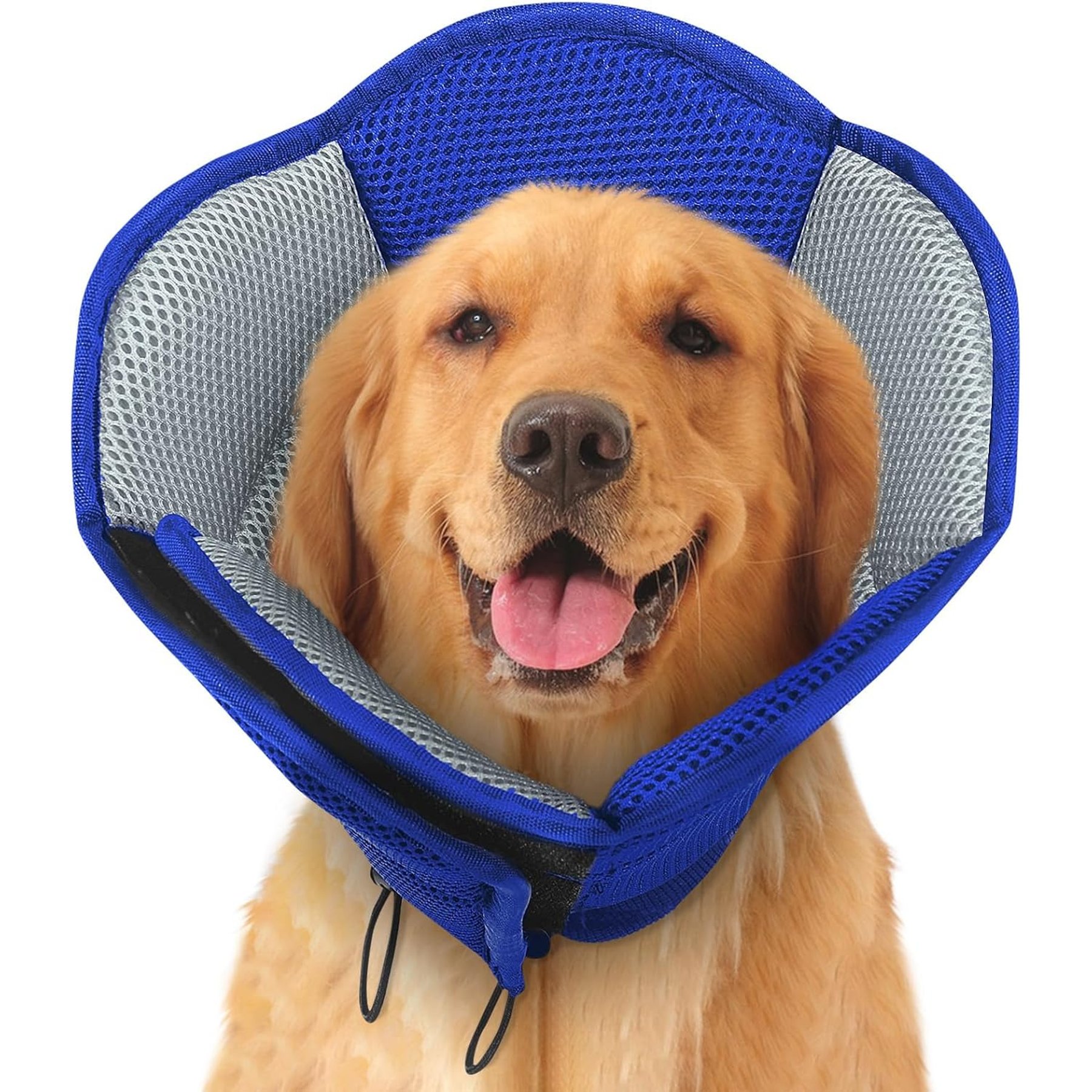 NANAKI Sunfura Cone Recovery Elizabethan Collar/E-Collar for Dogs, Blue, X-Large