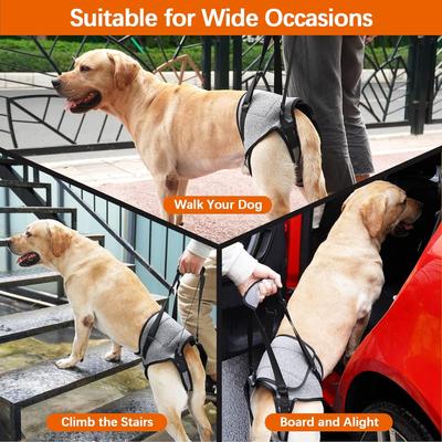 Show full view: NANAKI Lift Harness for Dogs, Grey, Small slide 4 of 9